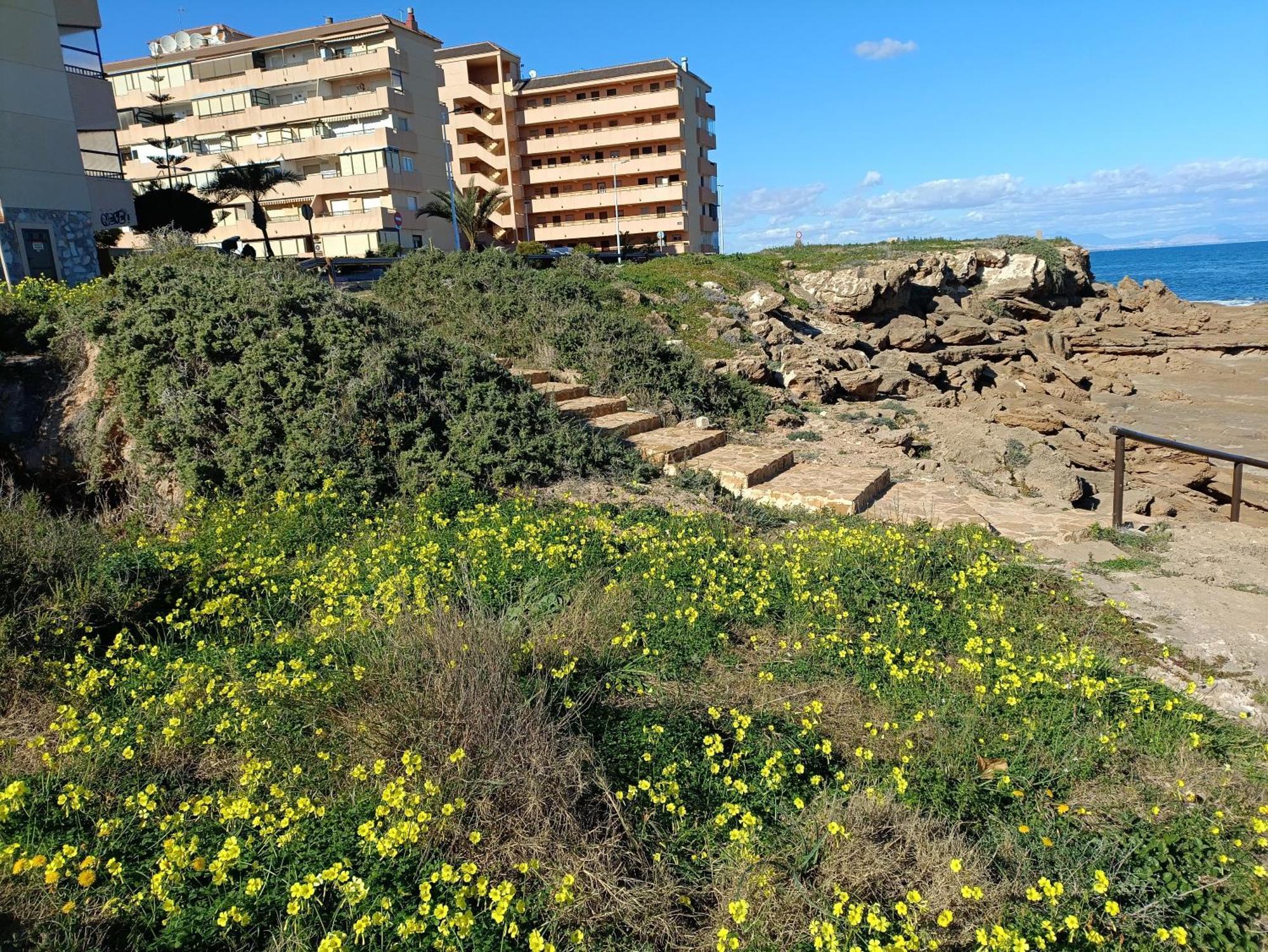 Apartamento Miramar Torrevieja Zewnętrze zdjęcie